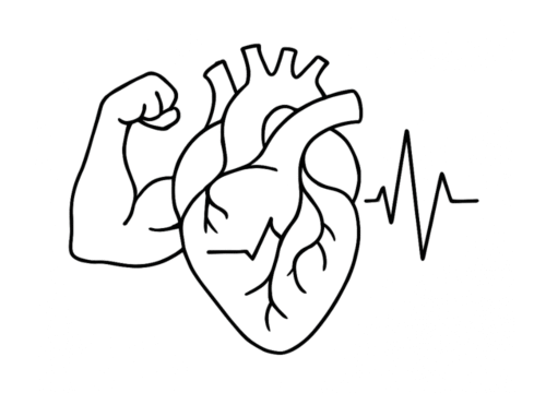 Strong Heart, Stronger You: Building Cardiovascular Fitness the Right Way